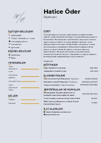 Beslenme Uzmanı Diyetisyen CV Örnekleri cv indir